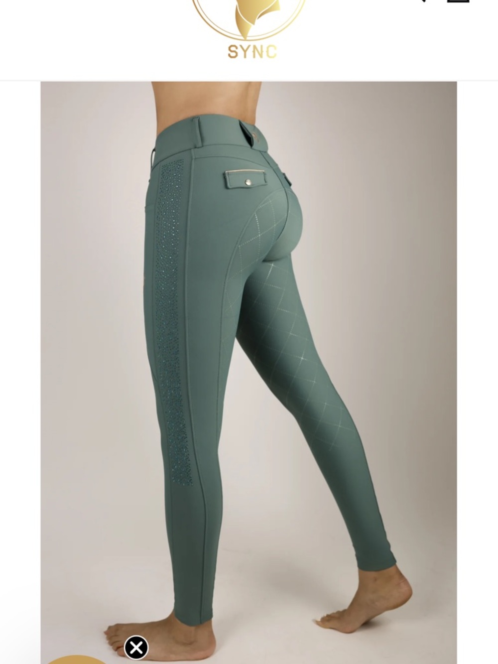 Sync Equestrian Sage Breeches Size L